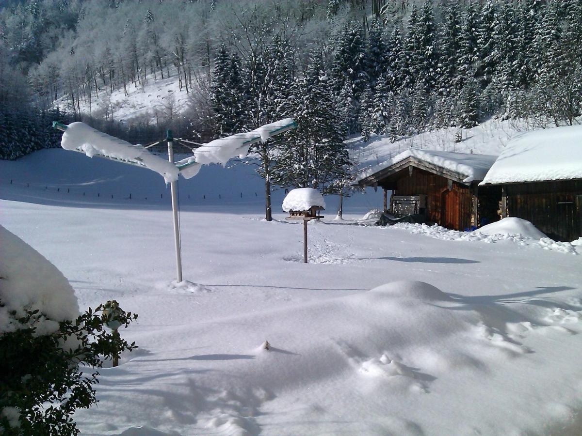 Ferienwohnung Haus Wiesler Aschau im Chiemgau Exterior photo